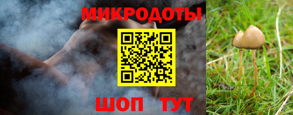 Псилоцибиновые грибы Cubensis Чита